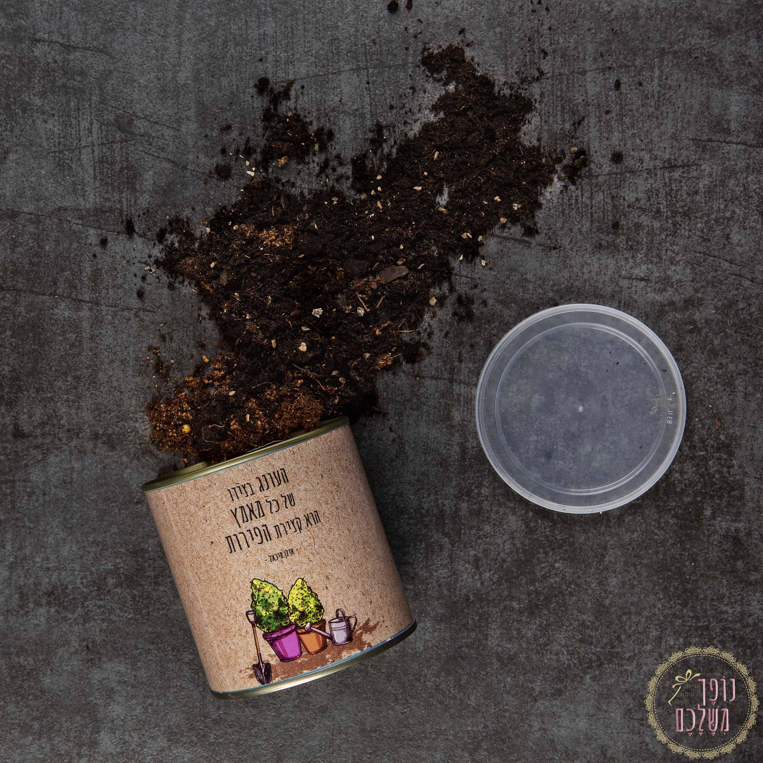 ראש דשא - מתנות לטו בשבט - נופך משלכם