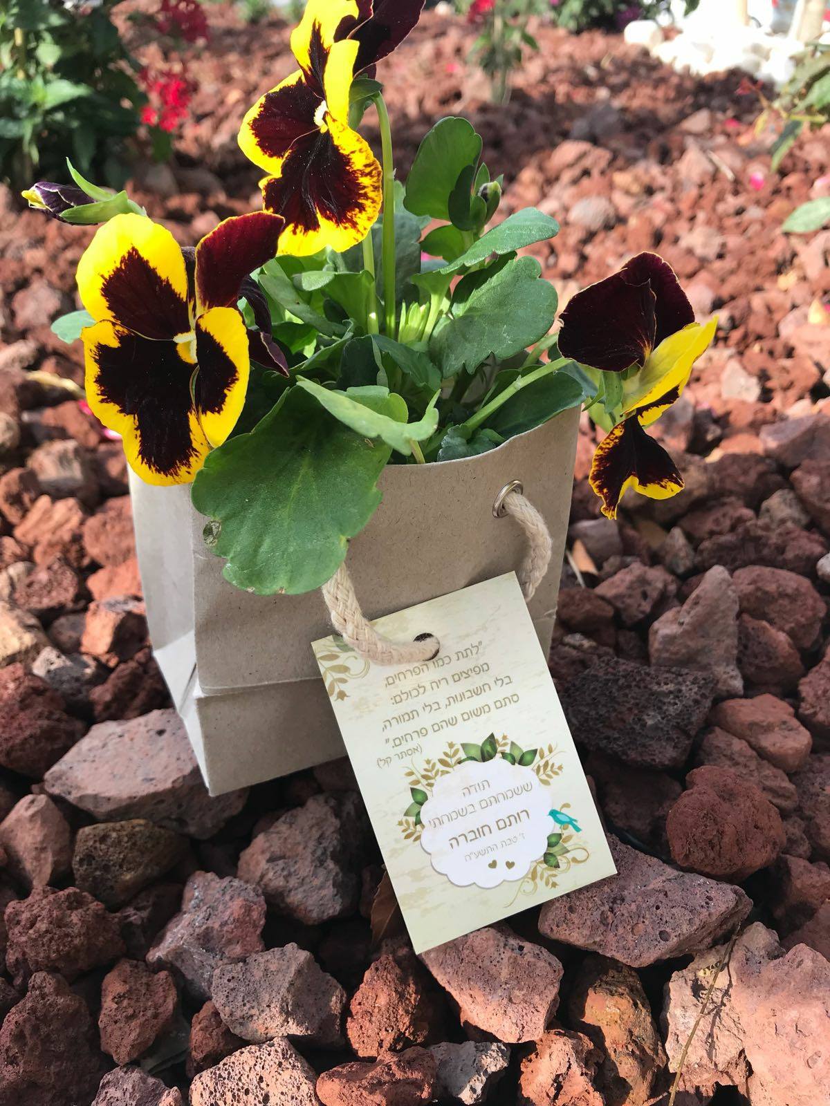 מזכרת לאורחים באירוע מתנות לאורחים באירוע תרומה לקהילה שתילים כתרומה לקהילה