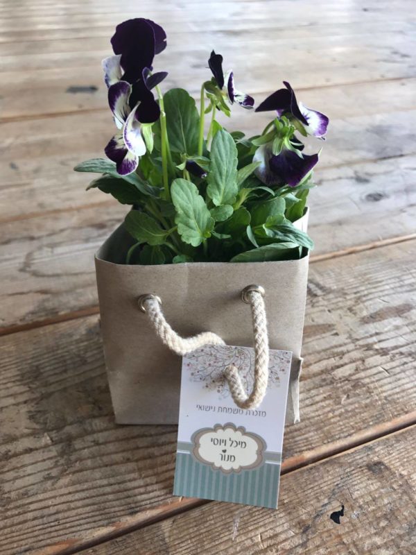 שתיל בשקית מזכרת לאורחים בחתונה - נופך משלכם