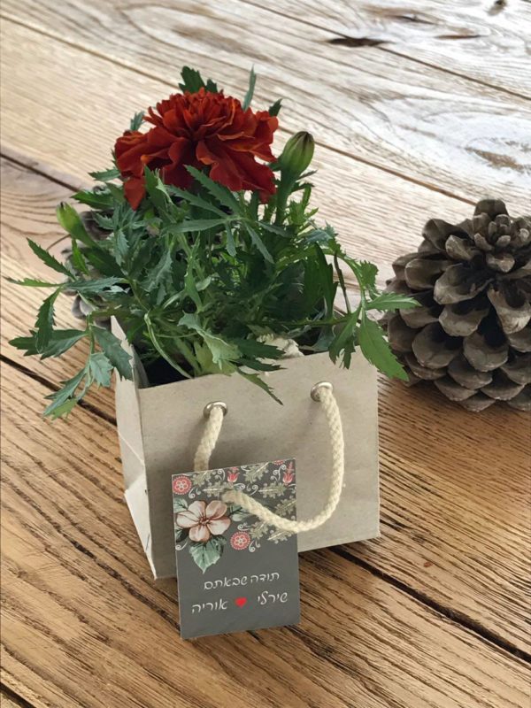 שתיל בשקית מזכרת לאורחים בחתונה - נופך משלכם